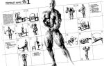 Тренировочные принципы джо вейдера, система строительства тела
