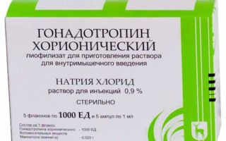 Хорионический гонадотропин в бодибилдинге, как принимать, инструкция по применению