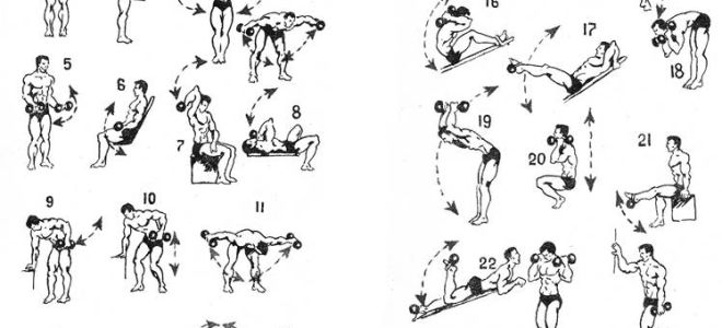 Упражнения с гантелями в домашних условиях, гантельная гимнастика
