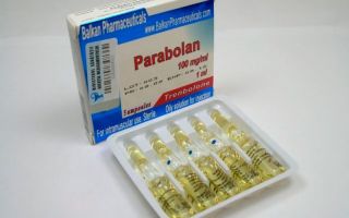 Параболан: курс на массу, как принимать, побочные эффекты и отзывы