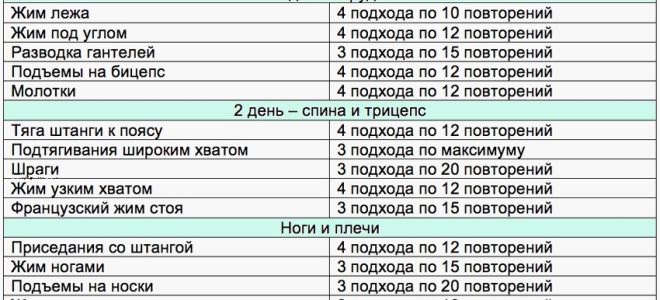Двухдневная программа тренировок для девушек — похудение — двухдневный сплит