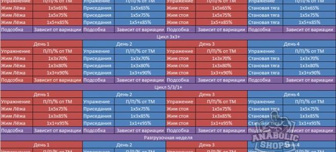 Программы тренировок в пауэрлифтинге для начинающих на силу и массу