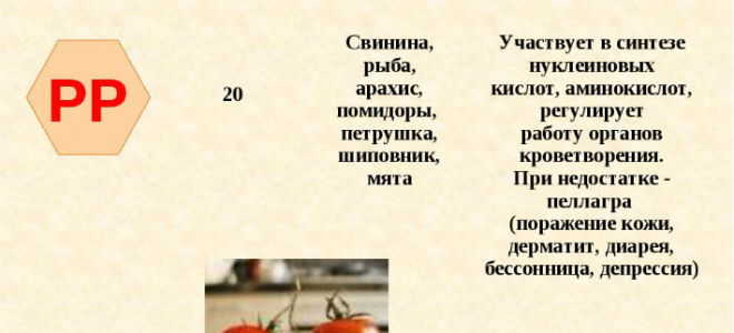 Витамин b15 — функции, в каких продуктах содержится, суточная потребность