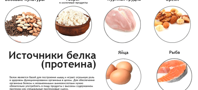 Продукты с протеином, 24 натуральных источников протеина