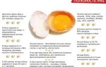 Вред и польза куриных яиц, вредно ли есть вареные яйца каждый день