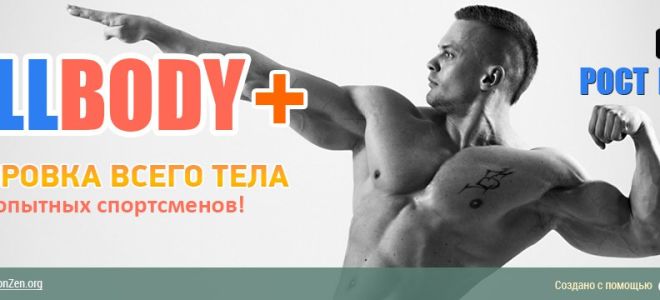 Программа тренировок фулбоди (full body): для новичков и профессионалов