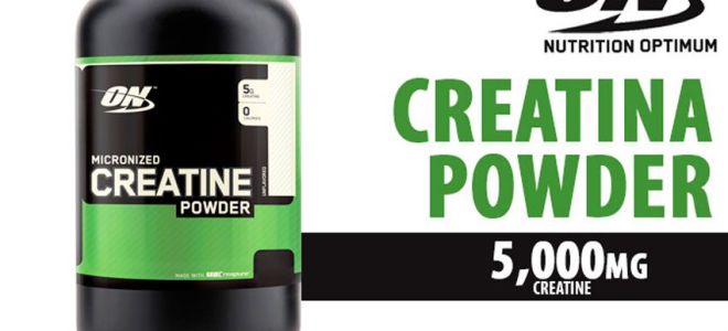 Creatine powder от optimum nutrition: как принимать, отзывы, эффект от приема