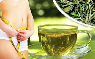 Похудение от зеленого чая, 3 причины для похудения