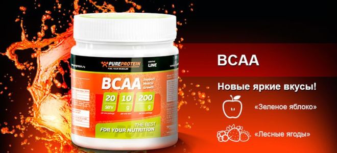 Bcaa от pureprotein: как принимать, состав и отзывы