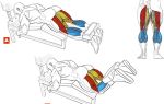 Суперсет на ноги для мужчин: тренировка на сгибание и разгибание ног