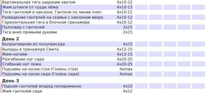 Программа тренировок для эндоморфа, на массу и рельеф в тренажерном зале