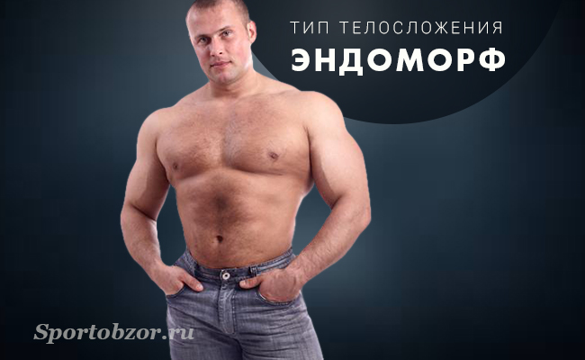 Типы эктоморф мезоморф эндоморф